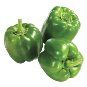 Green Pepper – 4 per Pack